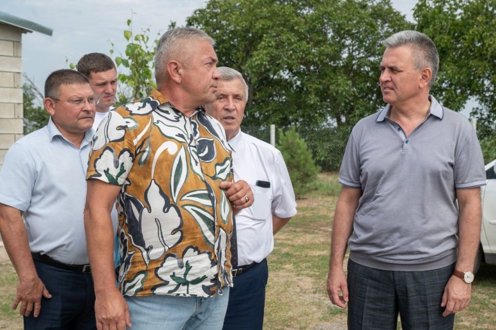 3 ����, ������� ���� ���