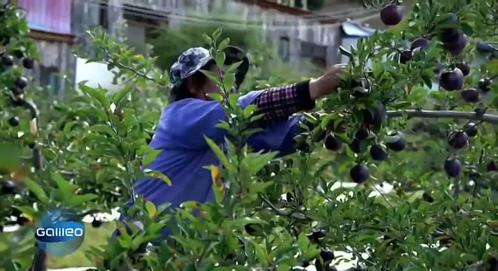 ������ ����� ���� �� ������ ��������, ������� � �������� (������ �� �������� �� ������), �� � �����-�����������, ����� �������