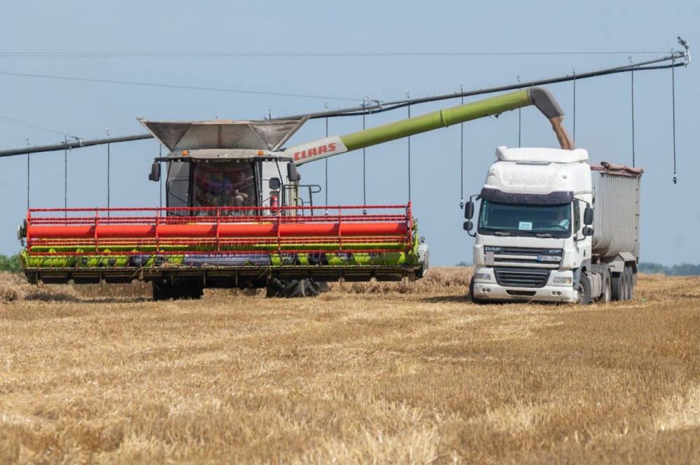Больше всего зерновых и зернобобовых в этом году посеяли в Слободзейском районе – 35,7 тысяч гектаров