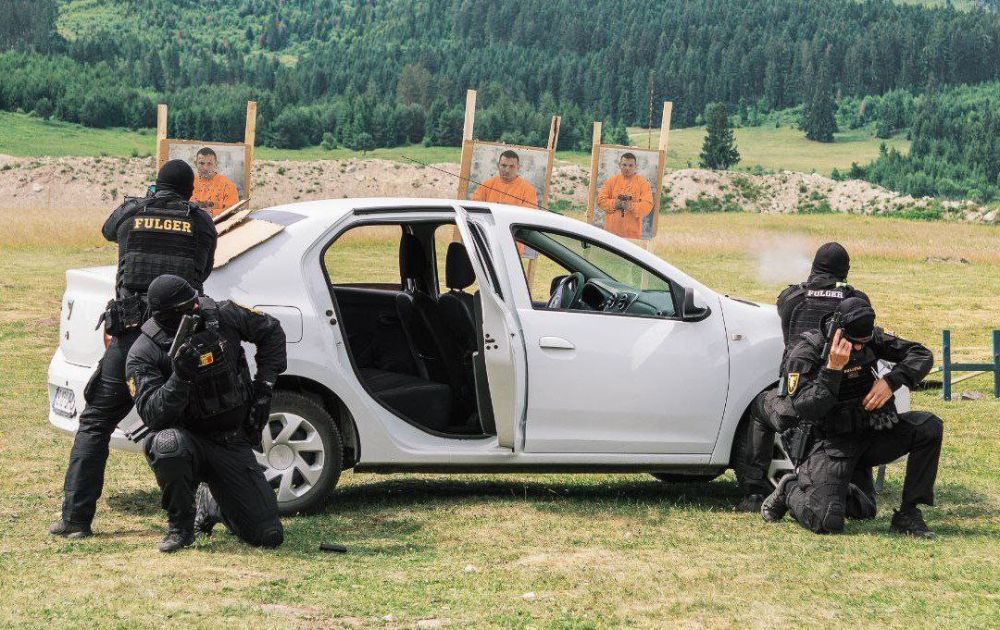 ������� � ������ ������� ������������ ���������� "Fulger" �������� �������� ������ � ����������� � �������� ������� �������