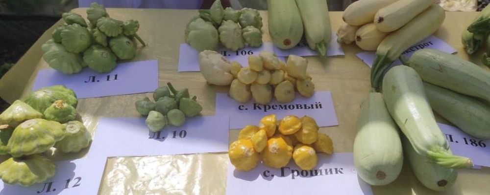 � ��������������� ��� ��������� ��������� ����������� ����� ������������� ������� ������� � ���������, ����� �� ���������� �� ����� ��������� ���������� ��������