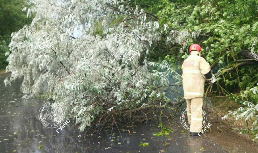 � ��������� ������ ����� ��������� ����� � ������� ������ � ���������� ������ ������� ������� �������