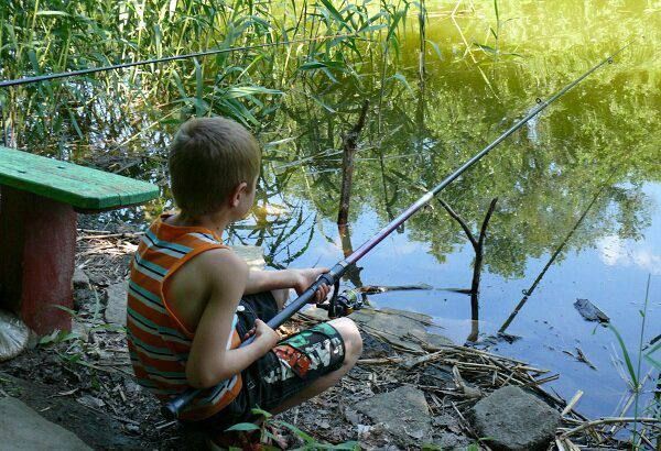 ���������� ������ ��������