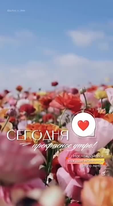 ������ ����!