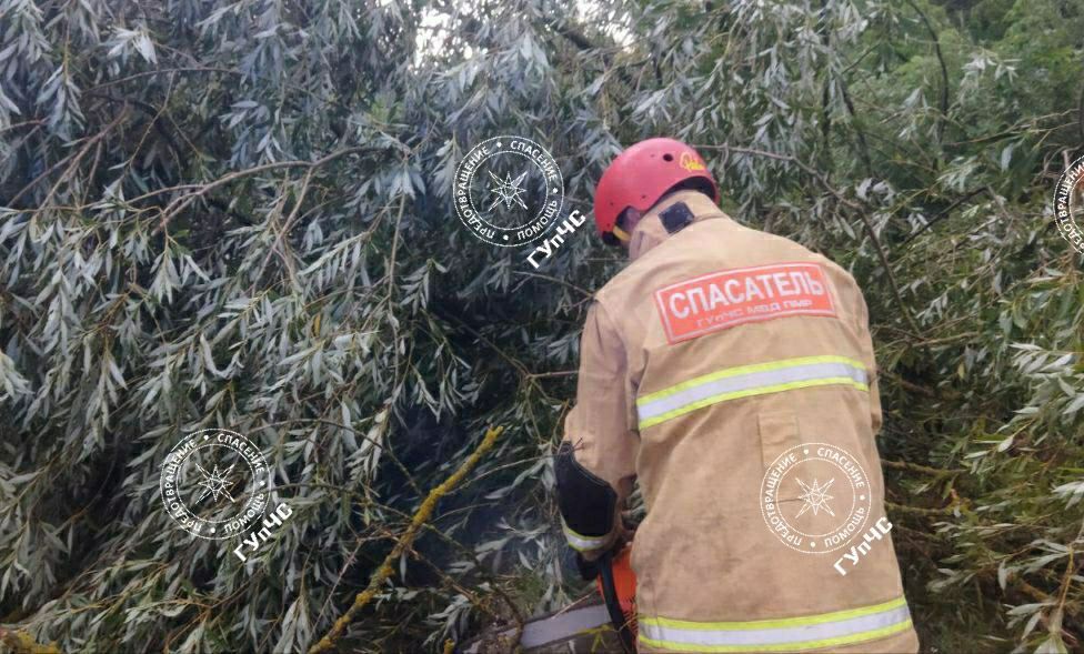 ���������� ������ �� ������� ��������