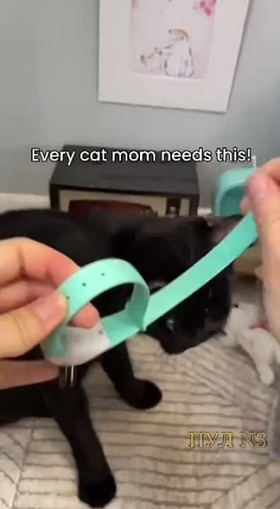 ��� ���� ���������: ��������� ����� ������� ��� ������ - ������� �� ���������� �������� �������