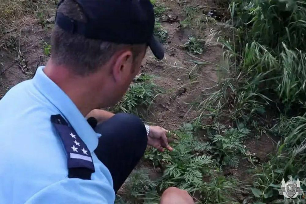 ������ � ��������� ������������