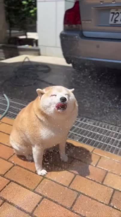 ���� �� ������, ��� ������ ���� �����, �� ���������