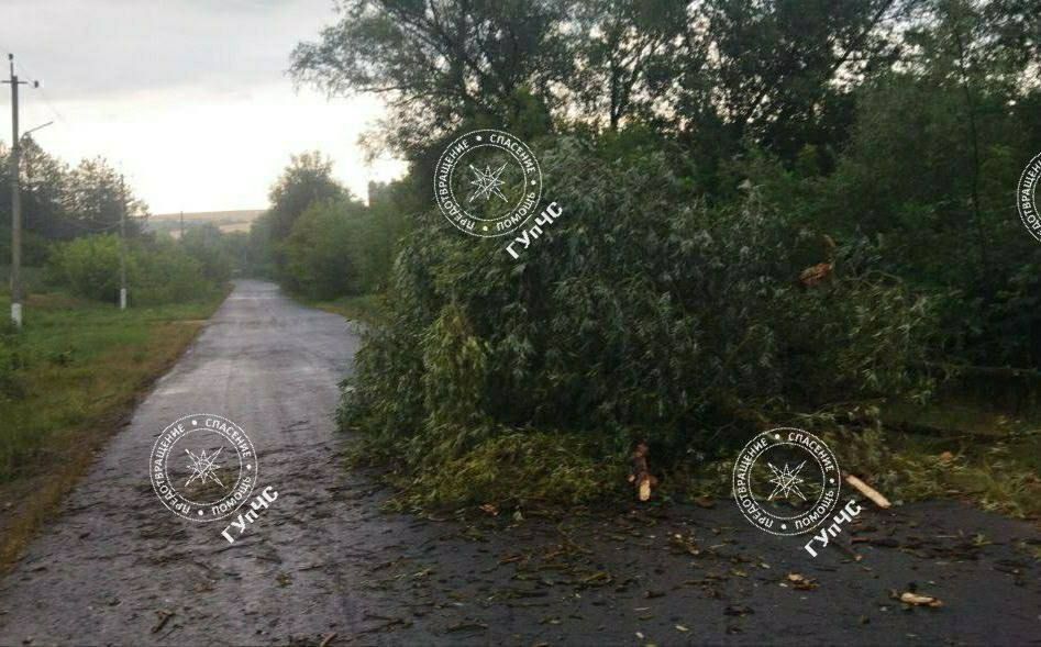 ������ ����� ��������� ������� �� ���������� �����