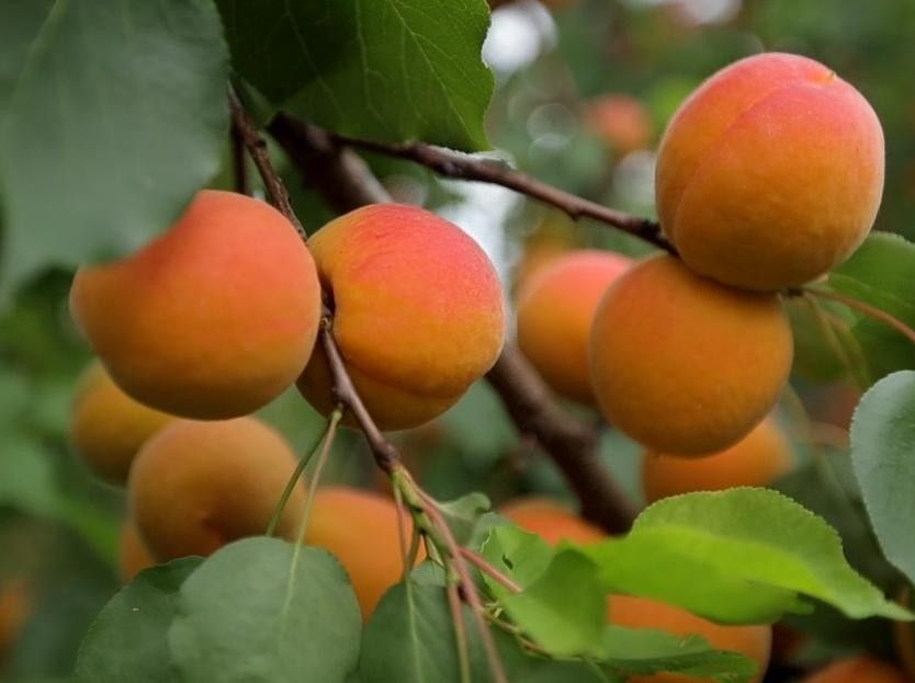 ����� ������ � ����������� ����� ��������� ������ �������� ������