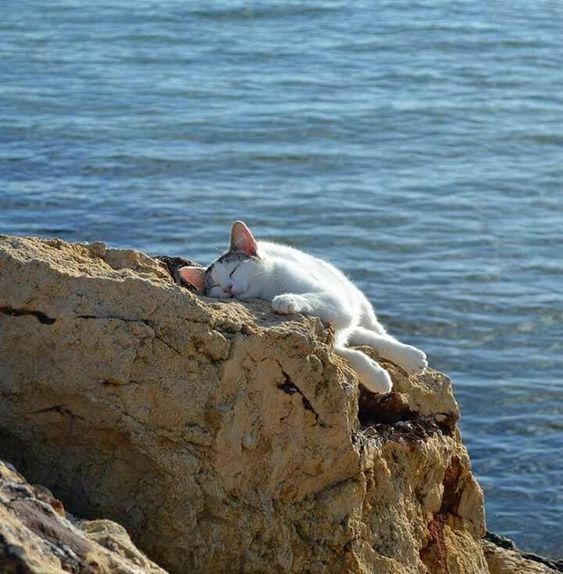 ���� ������ �� ����������