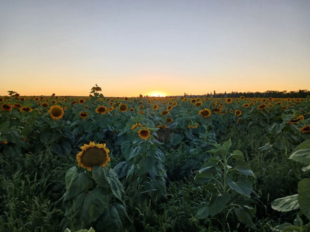 ��������� ��� ���� ������� ������ ���� �������� �������