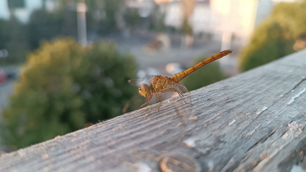 ��� �������� ��������� ����� �� ����� �� � ��, 6 ���� ��������� ������������ ������, ��� �������