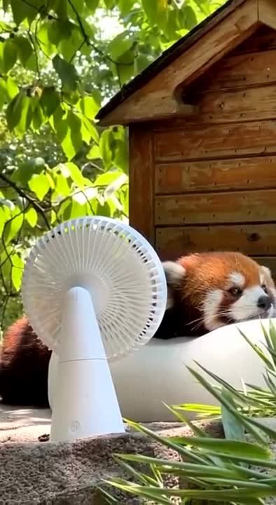 ���� �� +39��. ����� ������� ���� �������� �� ��������� ������