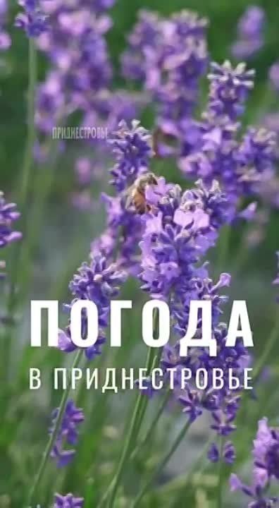 5 ���� ��������� ���������� ����������, ��� �������