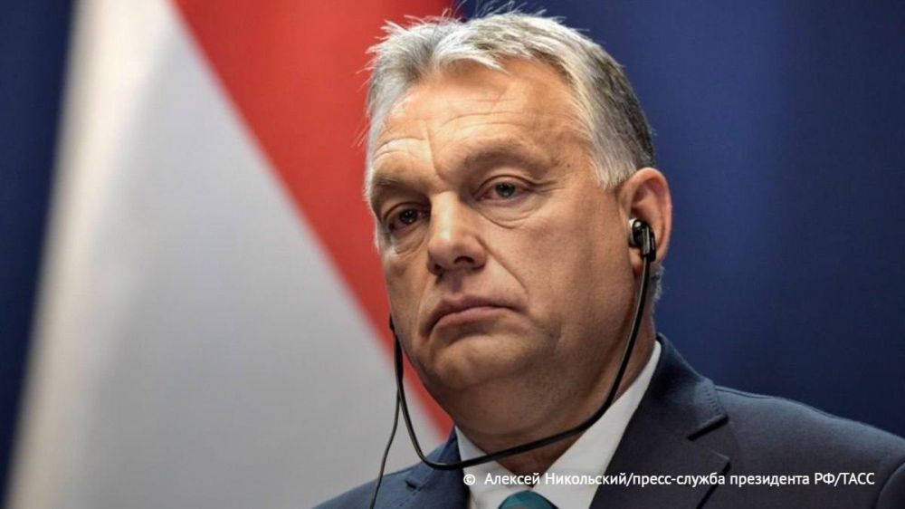 ����� ������ � ������� � ������, ������� �����-��������� ��������