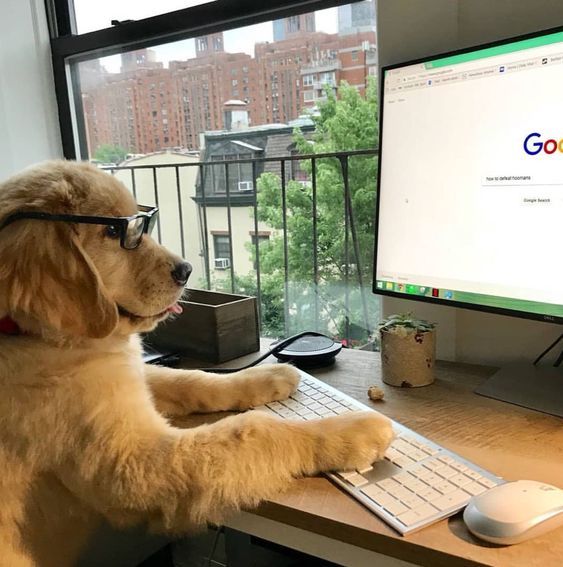 ������� ���� ������������