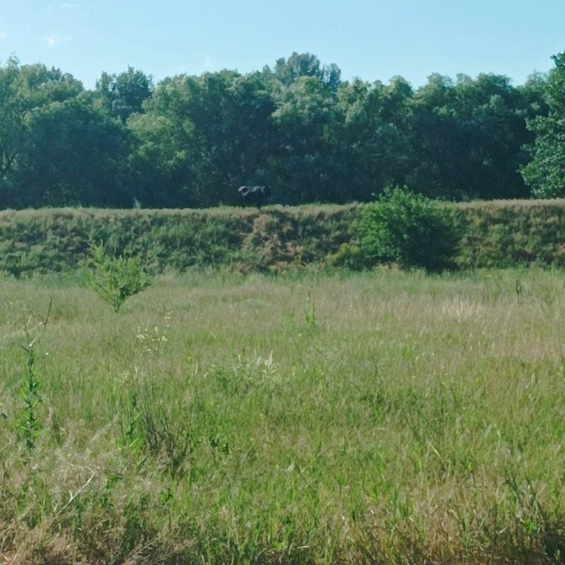 � �������� ������ ������ �� �����