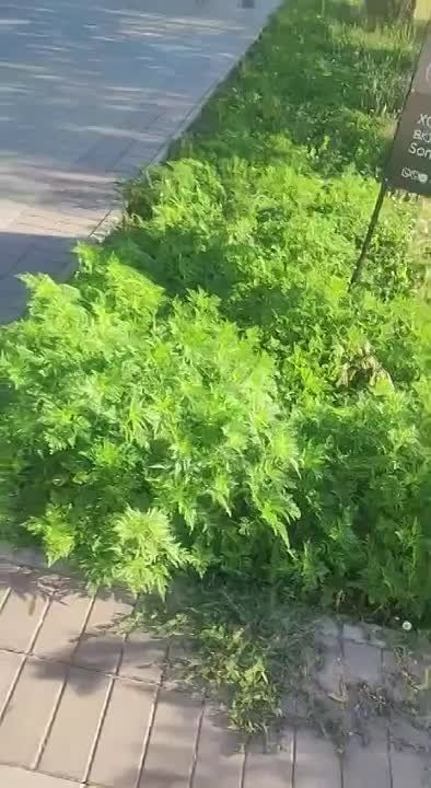 � �������� �������� �� ������� �������� � ������ ����������