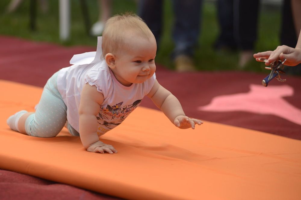 ����� ��������� ������� � ����������-������� ����� � ��� �������, 6 ����