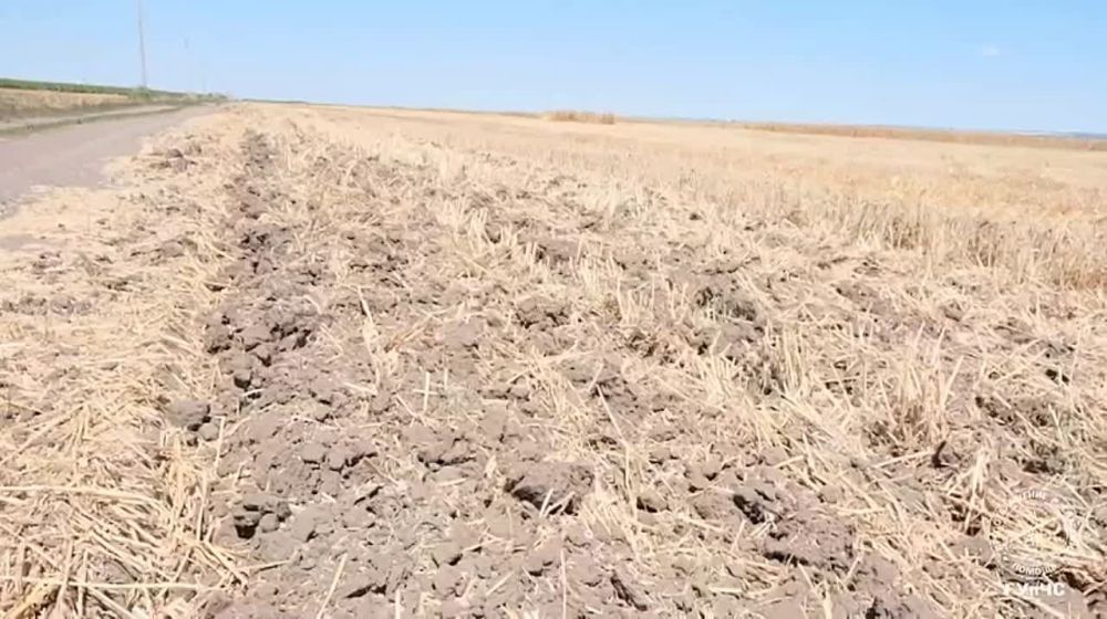 � ���������� ������������ ��������� �������� �������� �������