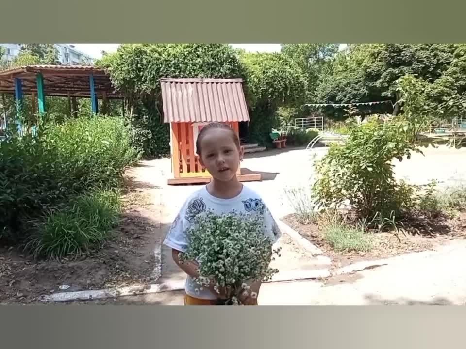 ������ ����. ��������� ����������� � �������� ������ ������������� � �����