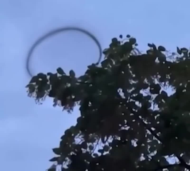 ���������� ������ ������ � ���� �������� ������ ��������� ������� �������