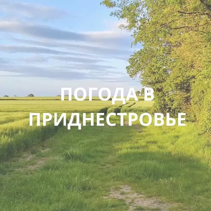 6 ���� ��������� ������������ ������, ��� �������