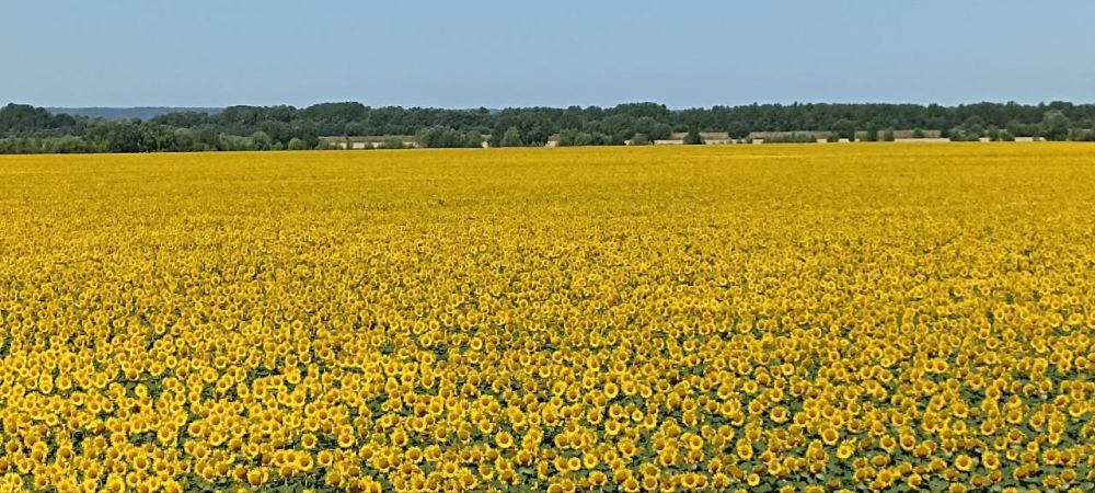 �������. ������� ���� �����������