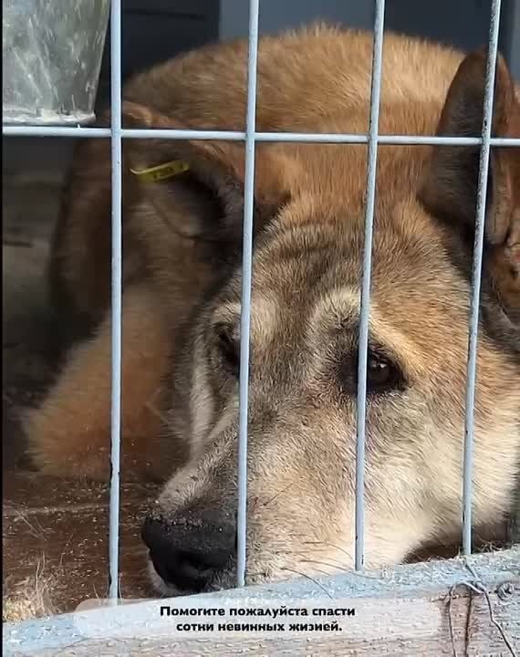 ��� �������� ��� ���. ���� ������� ��������� ���� �� ������ ��� ��������� �������� ������� �����