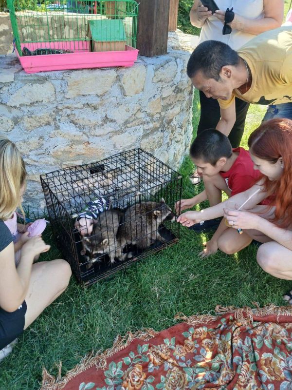 ����: ������ ��������������