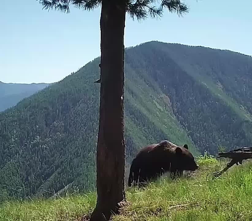 ����������� ����� ����������� ������� � ������������ �����������