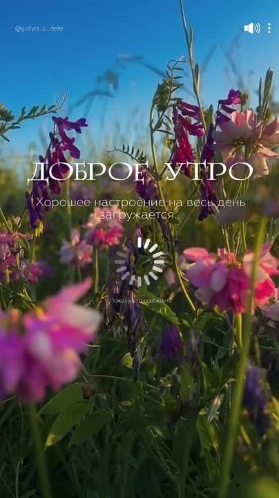 ������ ����!