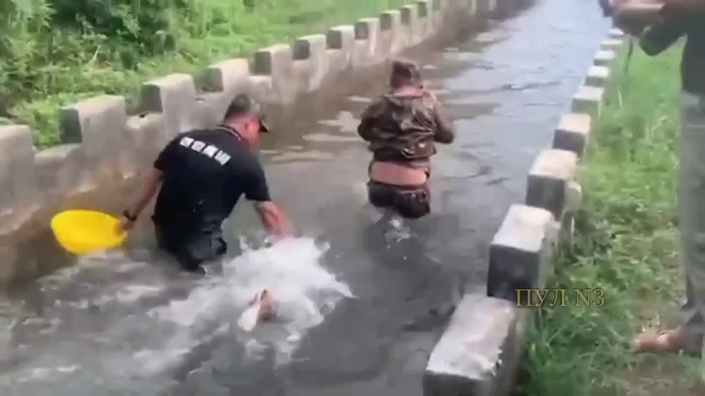 �������� �������� ��-��������� �������: ���� �������� ���������� ������� ������ � �����. ����������� ������ ���������, ��� ���������� �������� ������ �������� ���������� ��������������� ������� � ���������������� � ��������