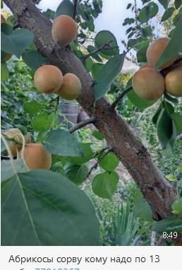 � ���� ������������� �������� ���� �� ����� �� 13 ������