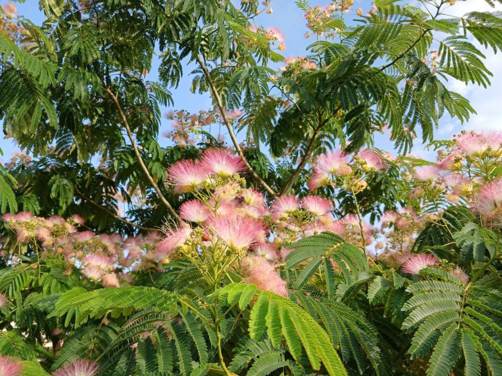 ��� ������� ��������� ����� �� ����� �� � ��, 9 ���� ��������� ������������ ������, ��� �������