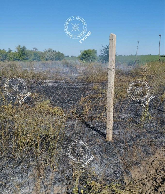 В селе Спея горела свалка. Огонь перекинулся на поле с пшеницей