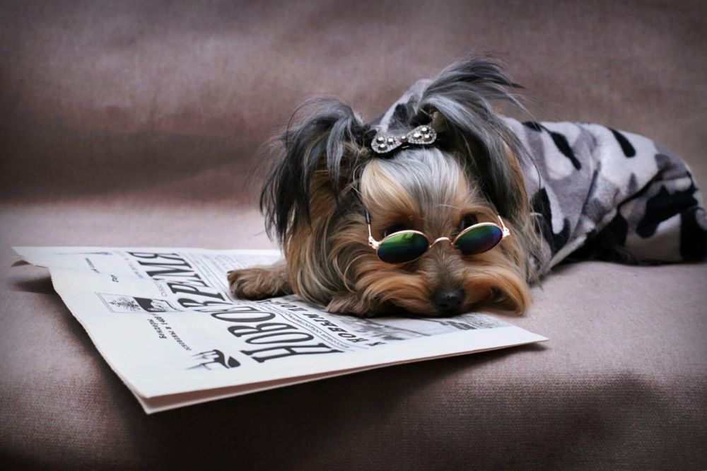 �� ��� �������?. ����������! ������ �������� �������� �� ������ "����� �����" ����� �������������. �������� ����� ��� ���