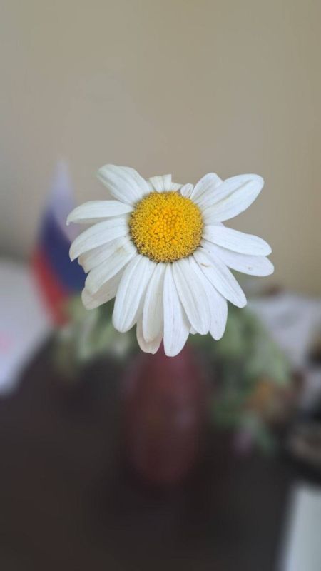 � ������ ����� �������������� ����� ������ ���� ������� �������