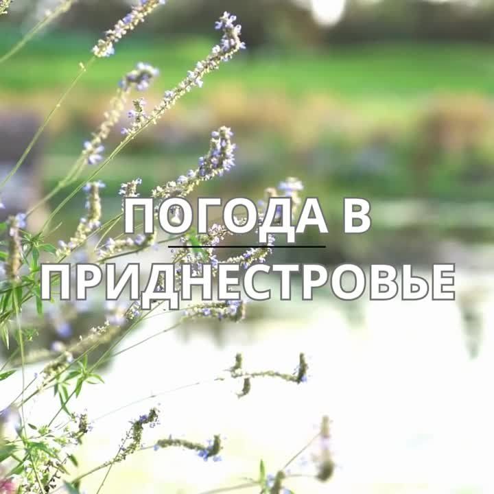 8 ���� ��������� ���������� ����������, ��� �������