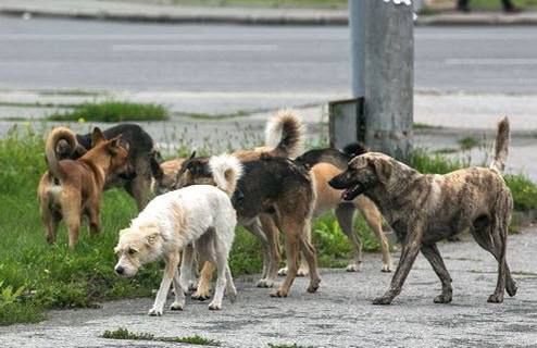 ��������� ������ ������� ��������� � ������� ����������������