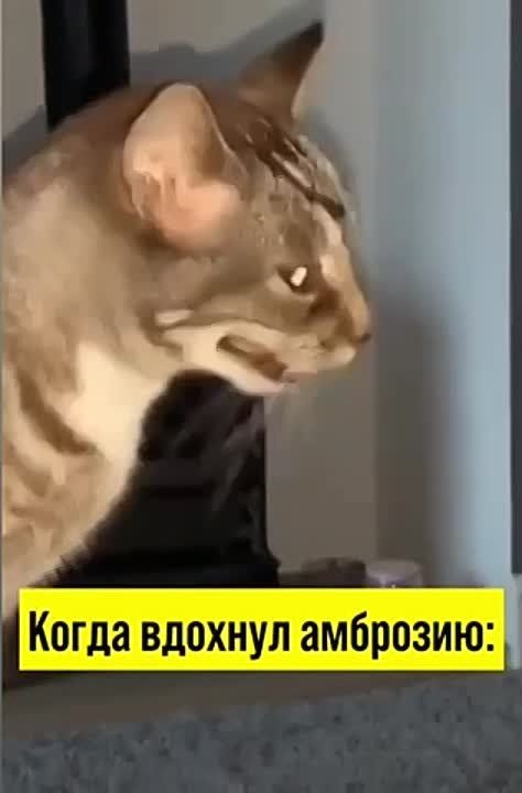 ������� ��������� ���� ������ � ���������