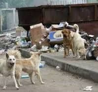 �������� ��������� �������� �������� �� ��������� ��� ����������