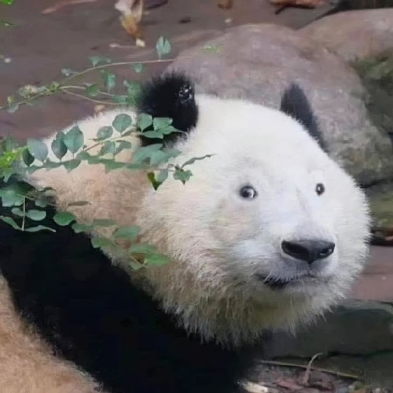 ������ �� ������ ��: ����� ��� ����� ������ ����