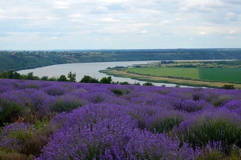 ����� 14 ����� ������ ��������� �� ����� ���������������� �� ����� �������� ��������� �������������� �������