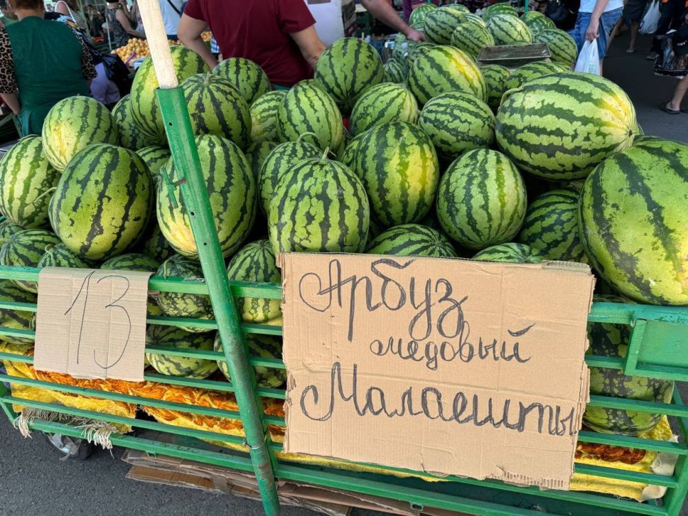 ������ ������ �� 12-13 ������ �� ���� ��������� �� ������� �����