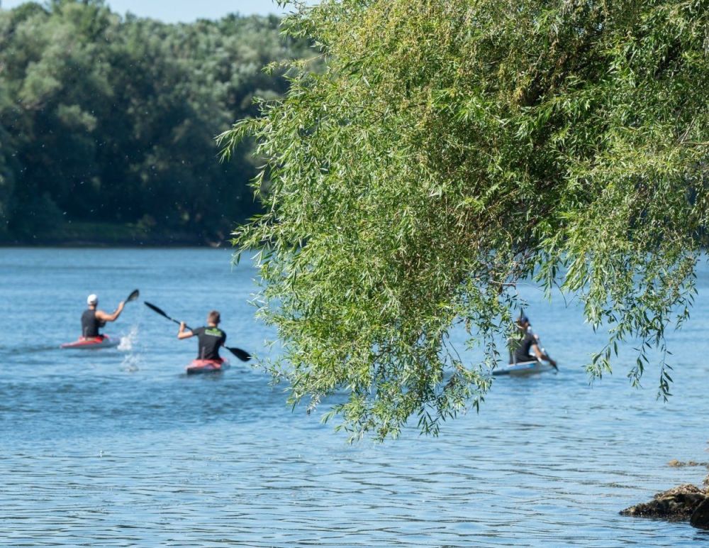 Открытое первенство ПМР по гребле на байдарках и каноэ прошло в Тирасполе