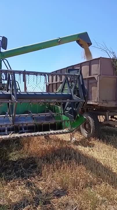 На полях села Тея Григориопольского района идёт уборка зерновых