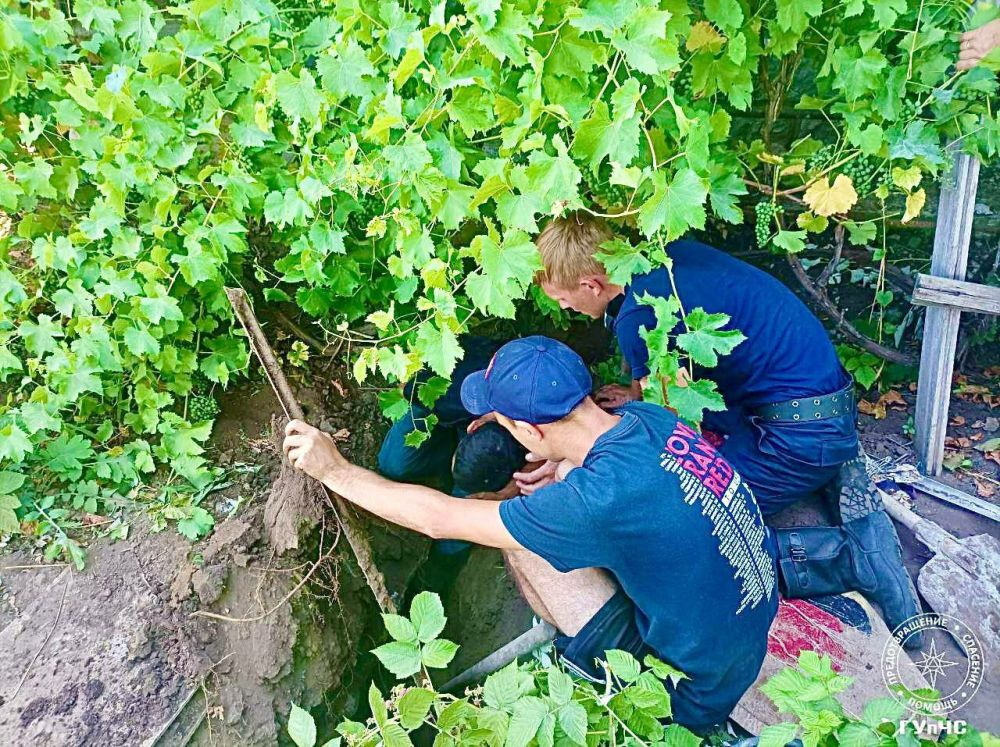 ������������ �������� ������ �����