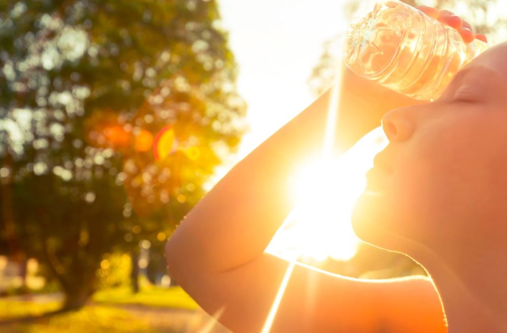 �� ����� ������������� 12 �������� ������������� �������� ������